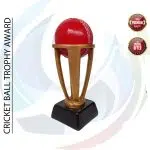 Premium Trophy (ট্রফি)