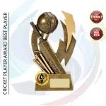 Premium Trophy (ট্রফি)
