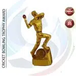 Premium Trophy (ট্রফি)