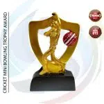 Premium Trophy (ট্রফি)